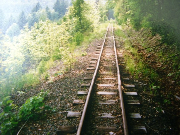 Prmyslov eleznice
