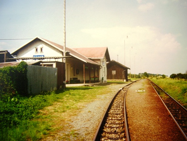 Lipta