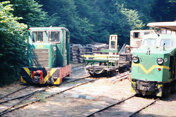 Nagybrzsny