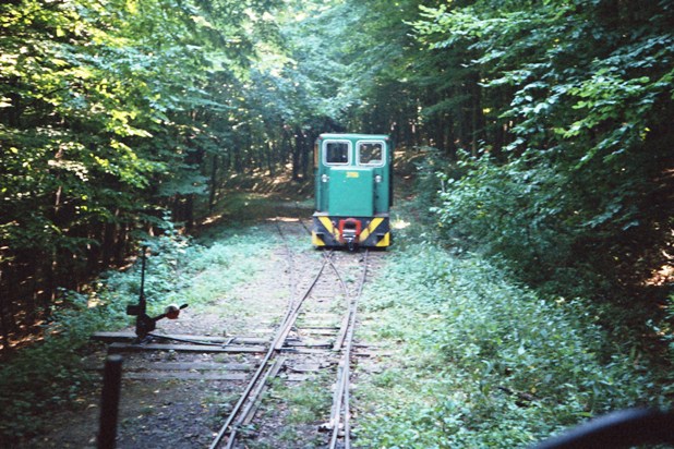 Nagybrzsny